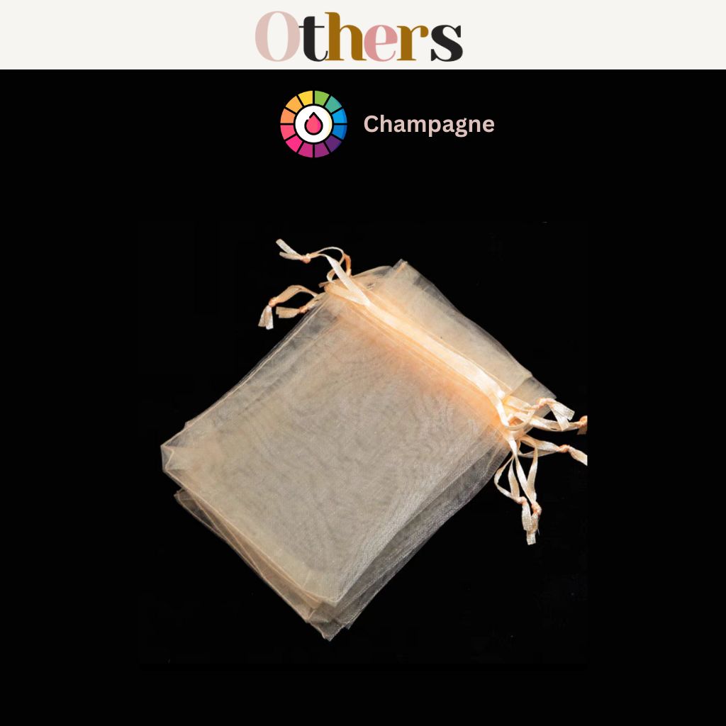 Drawstring Organza Bag